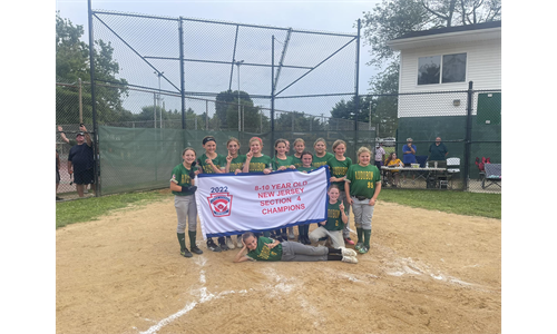 2022 10U Little League Section 4 Champs